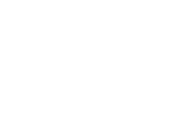 apex-logo